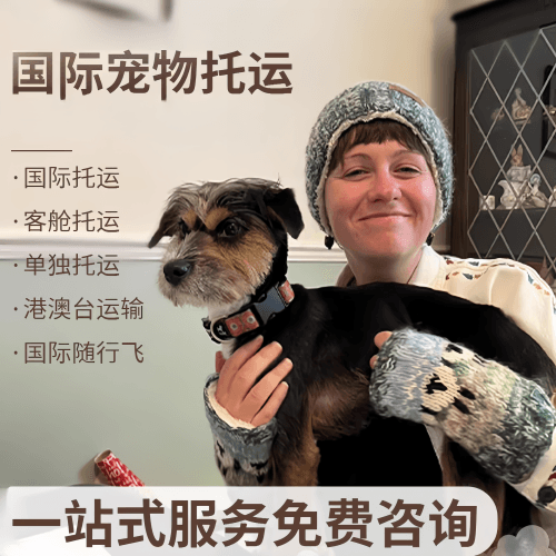 南汇区国际宠物托运到阿根廷宠物入境规定和要