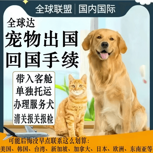 南汇区宠物托运到柬埔寨宠物入境规定和要求